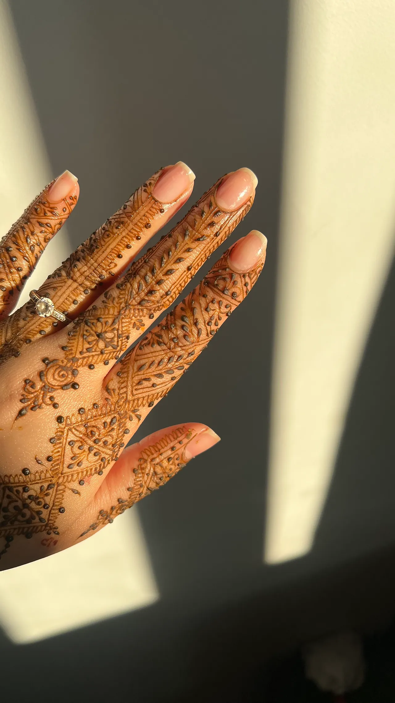Henna Design 5