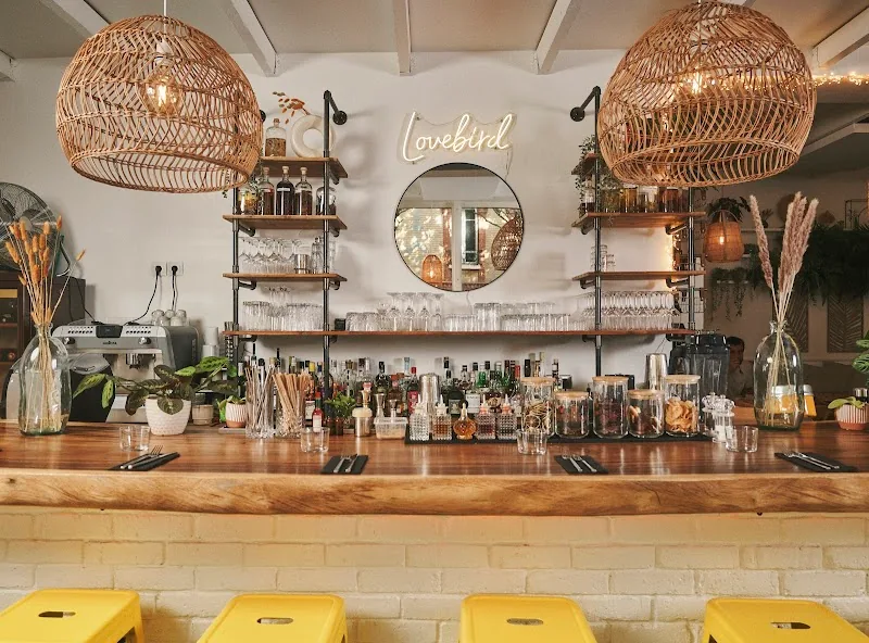 Lovebird Saint-Cloud