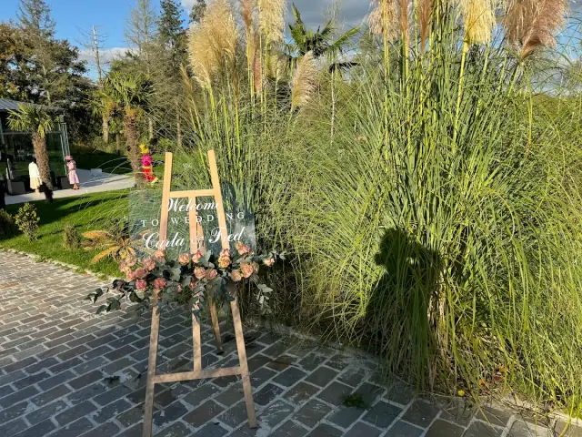 Salle de mariage — Trèfle de l'orangerie — Desi Corner