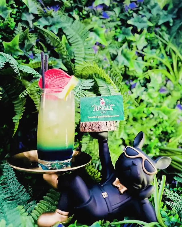 Bar à cocktails — Jungle Bar à Paris — Desi Corner