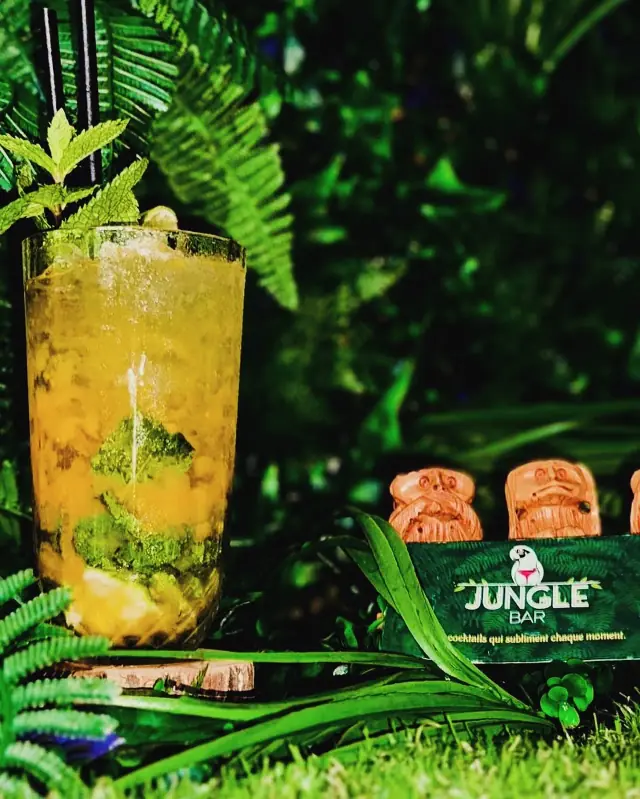 Bar à cocktails — Jungle Bar à Paris — Desi Corner